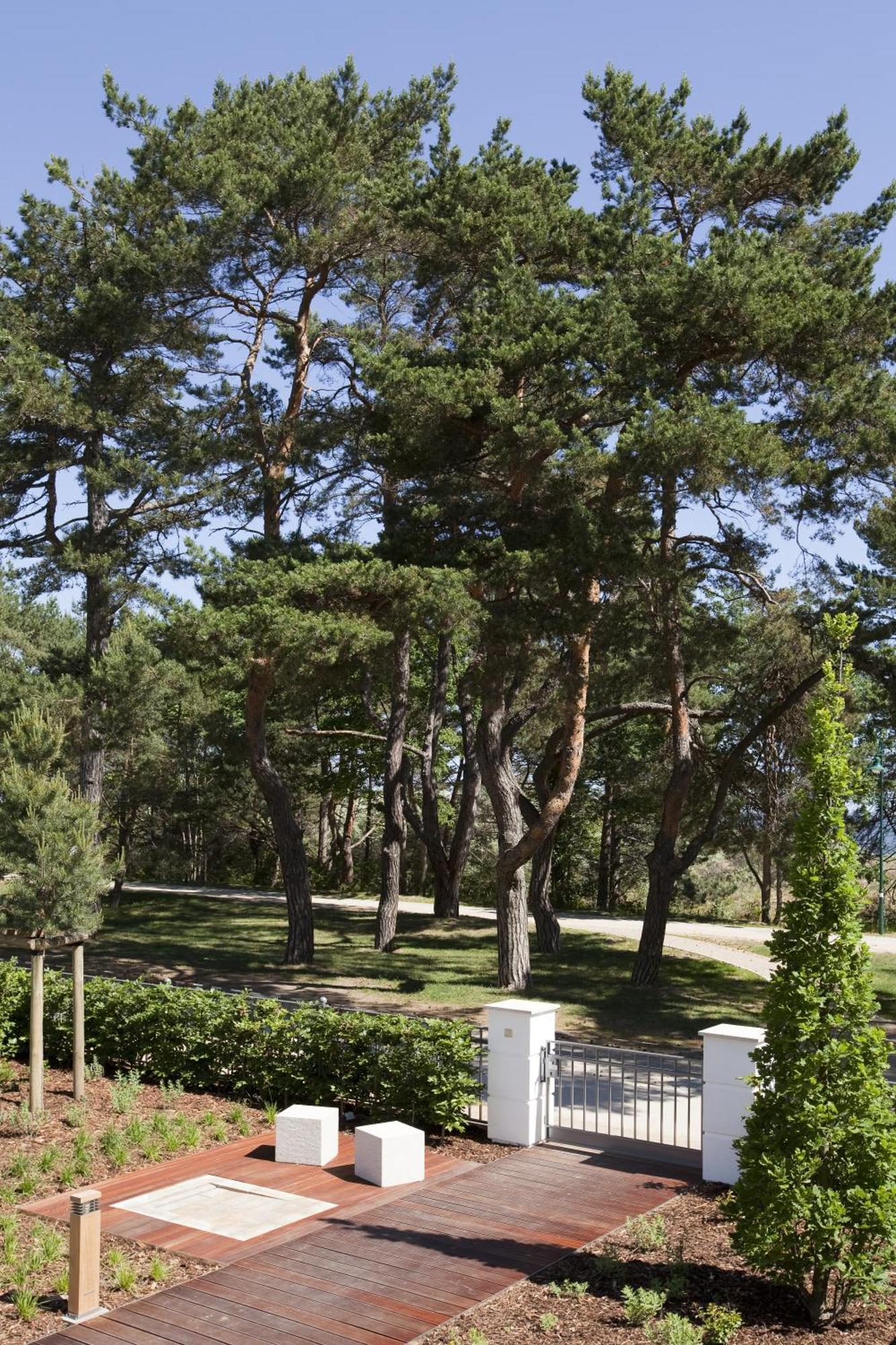 Steigenberger Grandhotel & Spa Heringsdorf Exterior foto Pines in the park
